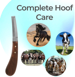 Couteaux à sabots en acier inoxydable réutilisables pour usage vétérinaire, outils de toilettage pour chevaux, instruments de coupe de sabots, prix abordable, personnalisation OEM - Product Image 6