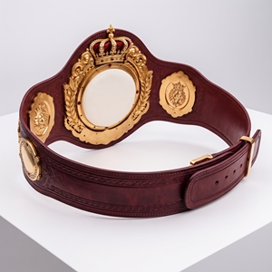 Cinturón de Campeonato Premium para Lucha Libre, Diseño de Placa Metálica de Alta Calidad, Cinturón de Trofeo Profesional para Lucha Libre y Boxeo - Product Image 2