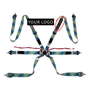 TBRACING ULTRA-D 2" Harnais de course homologué FIA à 6 points, Ceinture de sécurité, Brevet Taïwanais, Ultra Léger, Longue Durabilité, OEM ODM Personnalisé - Product Image 3