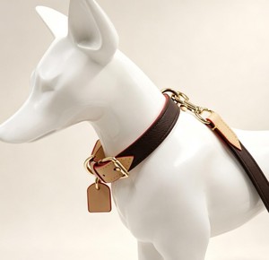 Premium Eco-Friendly 100% Cotton Animal Print Heavy Duty <b>Dog</b> <b>Leash</b> - Product Image 1