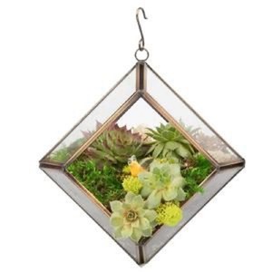 Maceta Geométrica de Cristal Negro Popular para Suculentas y Plantas Aéreas - Decoración Artística Ecológica para el Hogar/Oficina, Regalo de Boda - Product Image 3
