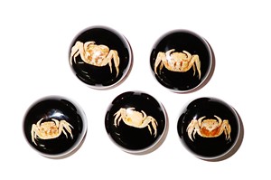 <b>Crab</b> Real Specimen Plastic Cabochon Round 25x25 mm Black Flat Bottom for Crafts and Jewelry Making - Product Image 3