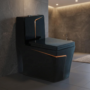 WC monobloc en céramique de luxe indien Vistaar, noir, pour usage commercial et résidentiel - Product Image 5