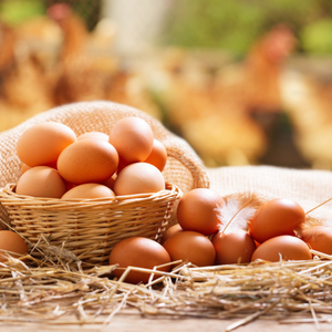 Huevos de Gallina Orgánicos Frescos Congelados de Primera Calidad en Stock, Entrega Rápida, Blancos y Marrones, Austria, 24 Meses de Caducidad, Oferta - Product Image 3