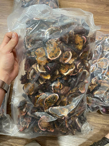 ผลไม้เสาวรสแห้งหั่นเป็นชิ้น ออร์แกนิค เป็นมิตรต่อสิ่งแวดล้อม ยี่ห้อบลูโลตัสฟาร์ม ขายดีที่สุด |   ผลไม้ธรรมชาติแท้ๆ รสเปรี้ยวเข้มข้น ดีต่อสุขภาพ ปลอดภัยต่อสิ่งแวดล้อม - Product Image 5