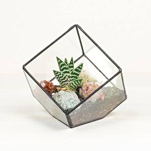 Terrario de Vidrio Elegante con Marco de Metal Negro para Suculentas, Terrario de Vidrio Geométrico Moderno para Interiores - Product Image 6