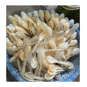 Cuillère en nacre écologique faite à la main, couverts en coquillage naturel pour la maison, la cuisine, le service de desserts, les restaurants et les hôtels - Product Image 4