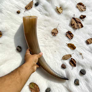 Polished <b>Buffalo</b> <b>Horn</b> Natural Shape Rustic Home Decoration Durable Crafted <b>Horns</b> At Best Price - Product Image 3