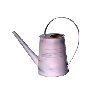 Arrosoir décoratif rustique avec long bec pour arroser et décorer les plantes et les fleurs - Product Image 1