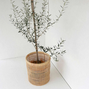 Garden Pots & <b>Planters</b> Natural Rattan Cane Plant Pots Hand-woven Elegant Rattan <b>Planters</b> <b>for</b> Home Decor - Product Image 4