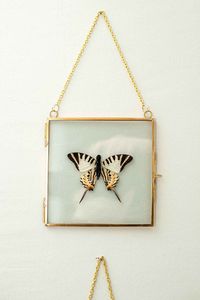 <b>Square</b> Metal Photo Frames With Nature Prints Digital Printing Durable Design - Product Image 6