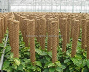 Poteaux de croissance en coco pour plantes grimpantes, fabriqués à partir de fibre de coco 100% naturelle, écologiques et biodégradables, utilisables en intérieur et en extérieur - Product Image 5