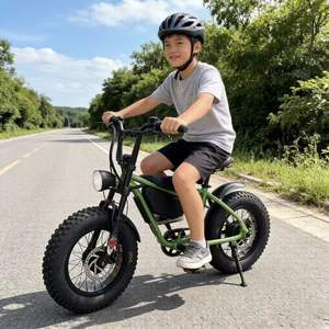 Bicicleta eléctrica de 16 pulgadas con neumáticos anchos para niños y adultos, para desplazamientos urbanos, con amortiguación, para nieve y deportes en la playa. - Product Image 6