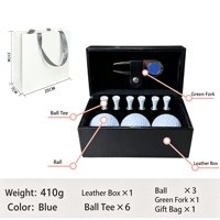 Coffret Cadeau de Golf en PU avec Balles de Golf en Acier Inoxydable, Outil de Réparation de Divots, Marqueur de Balle, Tees de Golf et Accessoires – Kit Cadeau pour Golfeur