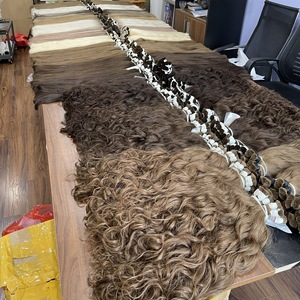 ต่อผมเวียดนามแท้แบบ Remy คุณภาพดีที่สุด 100% ปราศจากซิลิโคน นุ่มลื่นเป็นธรรมชาติ ไม่ผ่านการแปรรูปด้วยสารเคมี จากผู้จำหน่ายผม - Product Image 3