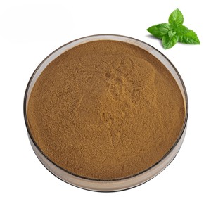 Extracto de Hoja de Menta de Alta Calidad OEM 10:1, Extracto de Hoja de Mentha Piperita 100% Puro y Natural en Polvo para Bebidas y Té de Hierbas - Product Image 4