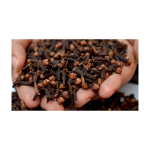 Clous de girofle séchés de haute qualité 100 kg Exportation Allemagne avec une durée de conservation de 2 ans - Product Image 5
