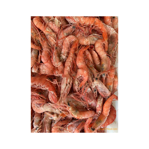 Compre camarones rojos congelados para comercio internacional y grandes pedidos - Product Image 5