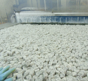 Cubos de fruta del dragón congelados de Vietnam, pulpa de fruta natural para mezclar en bebidas y desarrollar líneas de postres - Product Image 3