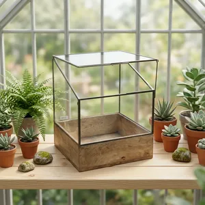 Terrarium Carré Moderne en Laiton/Verre avec Base en Bois, Design Artisanal, Décoration Intérieure pour Salon, Toutes Saisons - Product Image 2