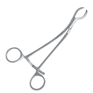 <b>Bone</b> Holding Forceps <b>Surgical</b> Stainless Steel <b>Bone</b> Holding Forcep - Product Image 2