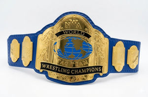 Réplica del Cinturón de Campeonato de Lucha Libre de Peso Pesado NWA Tag Team, Talla Adulto - Product Image 4