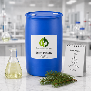Beta Pinene <b>Essential</b> <b>Oil</b> 100% Pure Natural Pine Peel Extract Cold Pressed Industrial Grade Liquid Natures Natural India <b>Oils</b> - Product Image 3