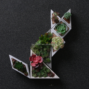 <span class=keywords><strong>Pot</strong></span> de plante <span class=keywords><strong>en</strong></span> béton minimaliste avec support <span class=keywords><strong>en</strong></span> métal Design surélevé Idéal pour les plantes de serpent Cactus Intérieurs de maison modernes - Product Image 3