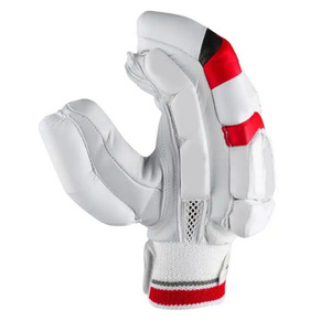 OEM Hot Sale Custom Logo Double-Stitched High Density Foam Cricket Batting Gloves <b>Hook</b> and Loop Wrist Strap Wholesale - Product Image 2