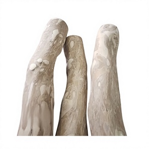 Jouet pour chien en bois de café naturel de haute qualité, durable et écologique, pour mâcheurs agressifs, nettoyage des dents - Product Image 1