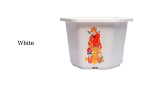 Bendición Macetas y jardineras Elegantes accesorios de vegetación para interiores y exteriores - Product Image 3