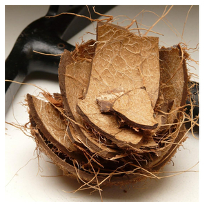 Premium quality crushed <b>coconut</b> <b>shells</b> for horticulture soil conditioning and agricultural applications - Product Image 5