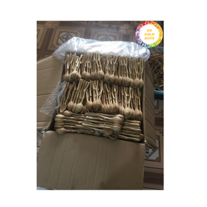 ช้อนไม้เวียดนามขายส่งสำหรับคนกาแฟและสร้างบรรยากาศร้านกาแฟที่สวยงาม โดยบริษัท 99 โกลด์ ดาต้า - Product Image 4