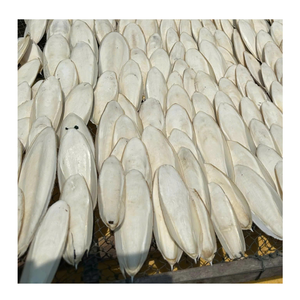 Os de Seiche Naturel Entier pour Oiseaux de Compagnie, Perruches, Perroquets et Fournitures pour Oiseaux Exotiques - Product Image 4