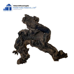 ไม้ลอยน้ำธรรมชาติคิมจิ ตกแต่งตู้ปลาแบบรักษ์โลก สำหรับเต่าและใช้งานกลางแจ้ง จากเวียดนาม - Product Image 3