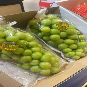 ผู้จัดจำหน่ายผลไม้สดคุณภาพพรีเมียม องุ่นเขียว แดง ดำ สำหรับส่งออก บรรจุกล่อง แช่เย็นได้นาน 30-45 วัน - Product Image 1