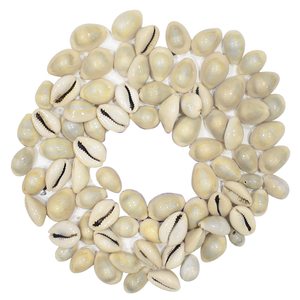 Conchas de Cauri Naturales, Cuentas de Concha de Cauri, Conchas Blancas para Joyería, Manualidades, Decoración, Venta al por Mayor - Product Image 1