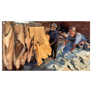 Peaux de vache salées séchées en gros pour les usines de l'industrie du cuir et les unités de tannerie à l'échelle mondiale - Product Image 4