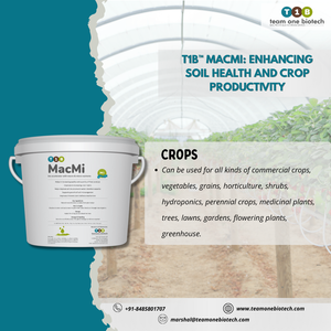 Gel potenciador del crecimiento de césped T1B MacMi Extreme para la fertilidad del suelo, longitud de raíces y un crecimiento de césped más verde - Product Image 2