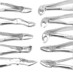 Kit Profesional de 10 Piezas de Pinzas de Extracción de Dientes de Acero Inoxidable Reutilizables, Herramientas de Cirugía Dental para Adultos, Mango Ergonómico, CE - Product Image 3