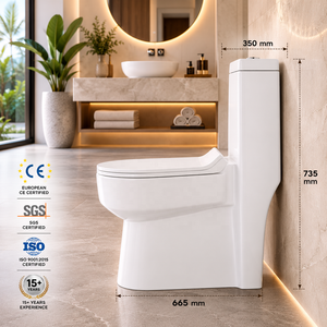 Inodoro de una pieza alargado con descarga por gravedad, montaje en suelo, moderno, con sifón en P, ecológico, fácil de limpiar, de cerámica para baño - Product Image 6