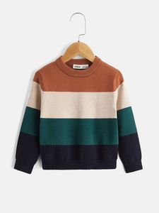 Pull en tricot d'hiver pour enfants, pull à manches longues uni pour bébés filles et garçons, pull pour nouveau-nés, pull pour enfants de BD - Product Image 5