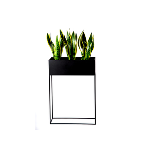 Modern Iron <b>Frame</b> Planter With Stand for Indoor Outdoor Decorative Green <b>Plant</b> and Floral Displays - Product Image 5