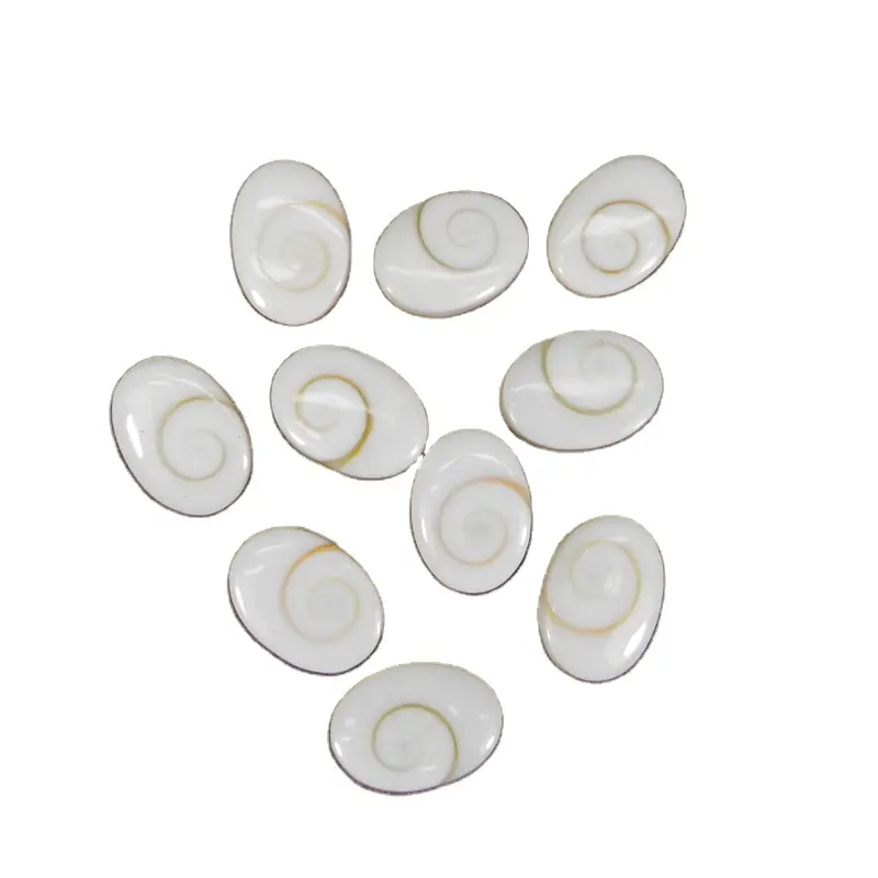 Natural Shiva Eye Shell Gemstone 18x13mm Oval Cabochon Gemstone for Making Jewelry