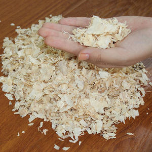 Virutas de madera de pino de calidad limpia/Aserrín de madera de pino/Polvo de madera de pino para lecho de aves y animales - Product Image 4
