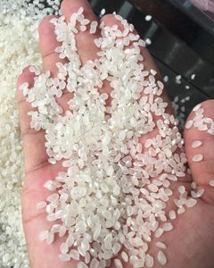 Fournisseur en gros de riz japonica de haute qualité proposant du riz à grains courts pour les services de restauration de sushis et les marchés mondiaux - Product Image 2
