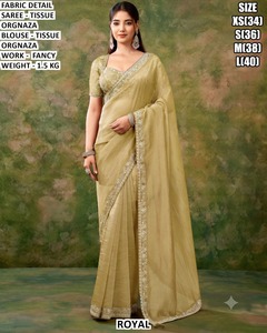 Royal Beige <b>Tissue</b> Organza Saree With Fancy Work Blouse For Women <b>Wedding</b> Wear Regular Fit Floor Length Size XS To L - Product Image 2