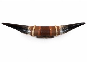 Juego de Cuernos de Toro Montados, Ecológicos, Hechos a Mano, Rústicos, Modernos, con Diseño Animal, Cuernos Pulidos, Decoración del Hogar Estilo Western, Pascua - Product Image 2