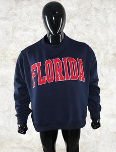 Florida Letter Custom <b>Mock</b> <b>Neck</b> Sweatshirt Men Heavyweight Fleece Pullover Cotton Blend Casual Streetwear Blank OEM Manufacturer - Product Image 2