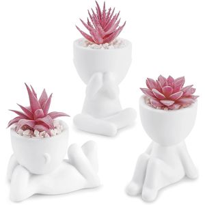 3pcs Pink Artificial Succulents for Women Office <b>Desk</b> Decor & Accessories - Product Image 1